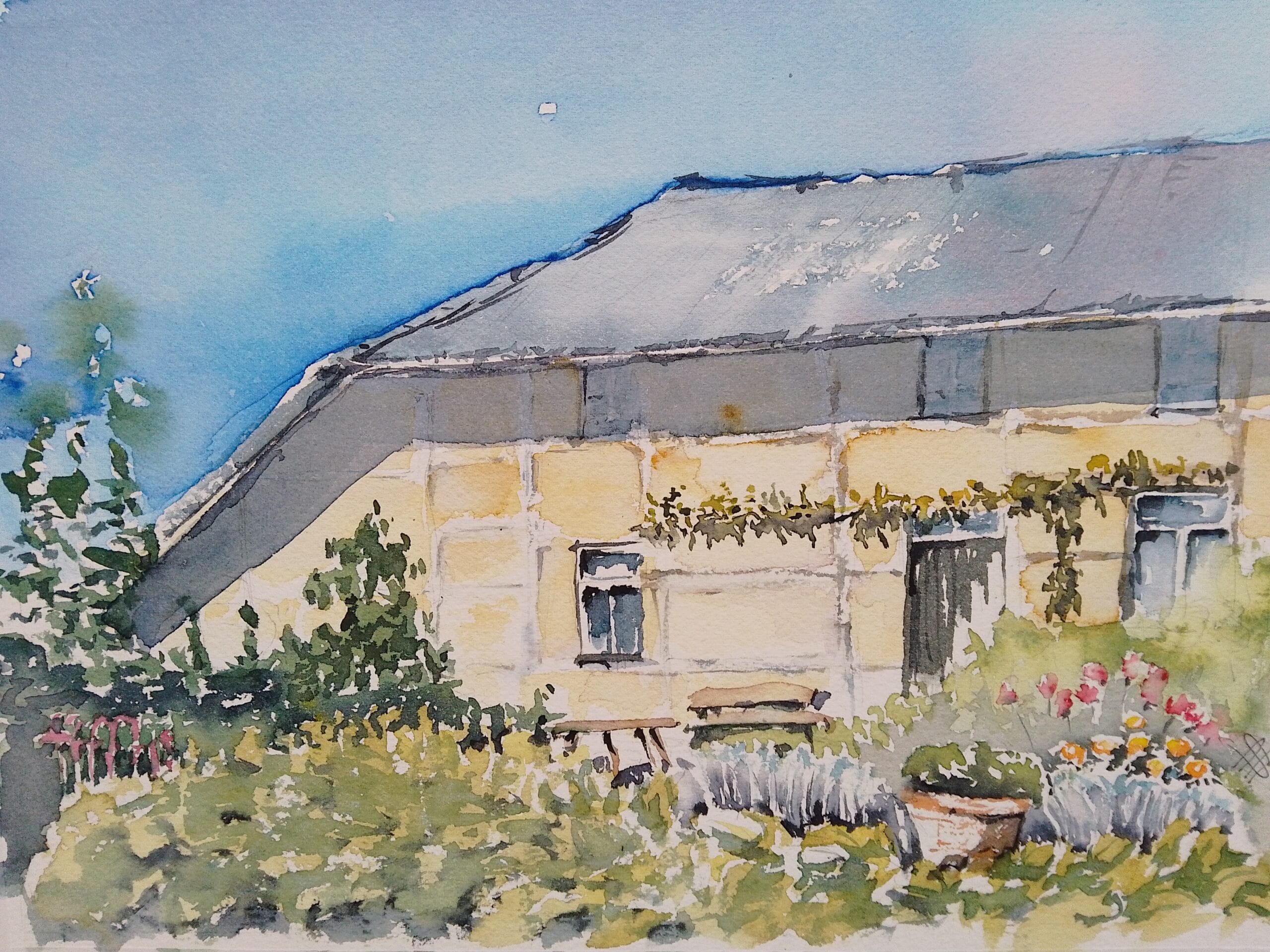 aquarel van een geel vakwerk huisje in het geuldal